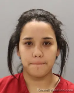 Mugshot of MARIANGEL CAROLINA RIVERO-CHIRINOS