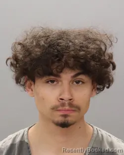 Mugshot of CHRISTIAN PARTELL TORRES