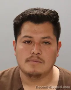 Mugshot of LUIS ALEJO-ANGELES