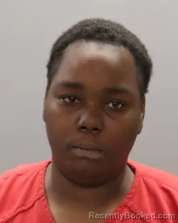 Mugshot of K LYNN RASHAWN ALEXANDER