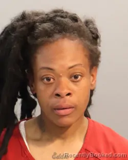 Mugshot of BRITTANY MCCALLIE