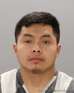 Mugshot of LUIS HERNANDEZ