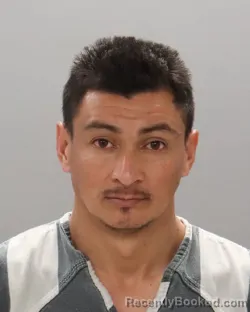 Mugshot of ELMER MARTINEZ