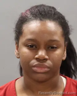 Mugshot of RENEE K CLARK