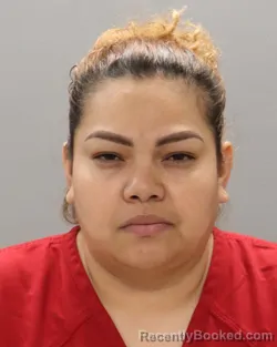 Mugshot of MARIA CONCEPCION VEGA