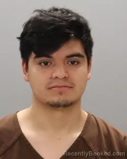 Mugshot of DAVILMAR CARLOS PEREZ-ALFARO