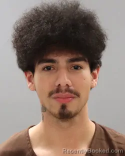 Mugshot of OLGER TEJEDA-OLIVA