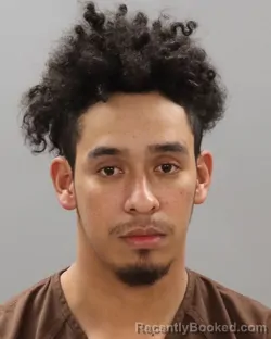 Mugshot of DANILO GALLARDO-TALAVERA