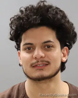 Mugshot of ENRIQUE HERNANDEZ