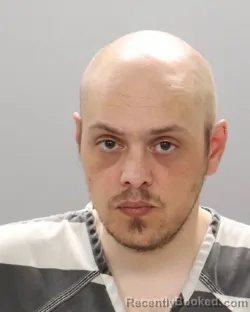 Mugshot of JOEL DAVID YOUNGER