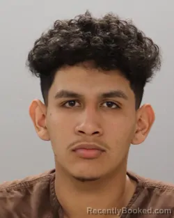 Mugshot of ENY CALIX-MEJIA