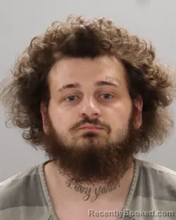 Mugshot of PEDRO LOUIS BROWN