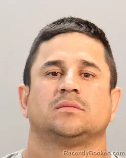 Mugshot of JOSE DAVID BENITEZ VELASQUEZ