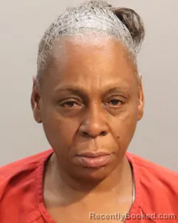 Mugshot of WANDA MICHELLE CLARK booked in Knox County, Tennessee on May 15, 2026