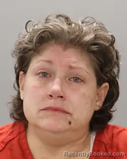 Mugshot of SHEENA SLONE