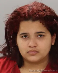 Mugshot of DARIELA AVILA-EUCEDA