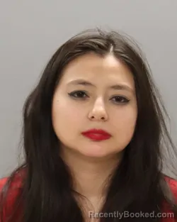 Mugshot of ALMA ELIZABETH HERRERA