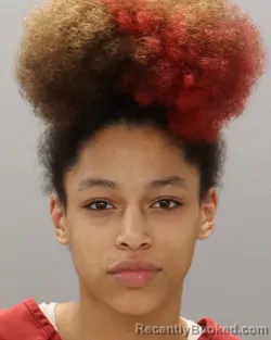 Mugshot of SHALISEA AMIYA FORTSON