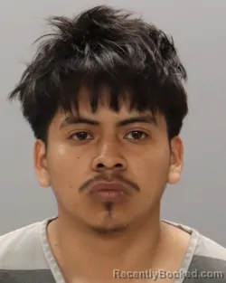 Mugshot of DOUGLAS SUT