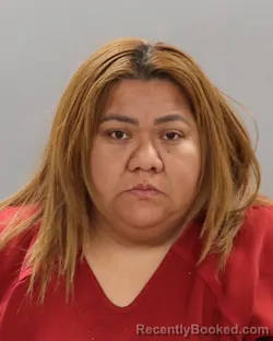 Mugshot of DAYANA MONTIEL