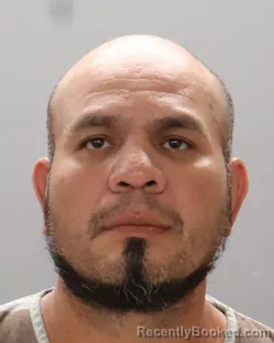 Mugshot of JAILI LOPEZ-LOPEZ