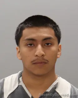 Mugshot of FRANSISCO ANDREAS