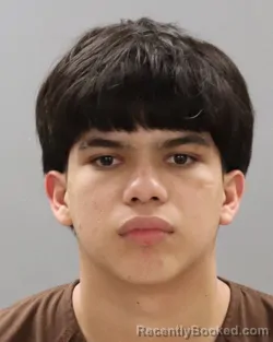 Mugshot of DANNI NUNEZ-OSORTO