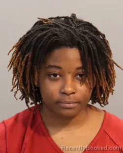 Mugshot of ASHLEI WILLIAMS