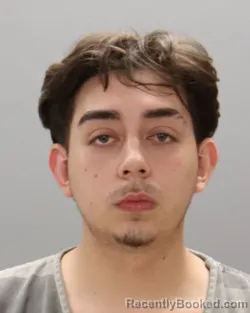 Mugshot of FRANCISCO SOLORIO