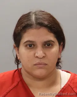 Mugshot of KEYDI PADILLA-SANTOS booked in Knox County, Tennessee on April 17, 2026
