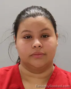Mugshot of NICOLL ALEJANDRA RIVERA-YANEZ booked in Knox County, Tennessee on April 18, 2026