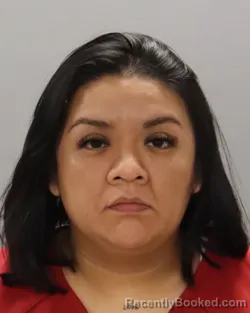 Mugshot of MARIA OREA PEREZ booked in Knox County, Tennessee on April 19, 2026