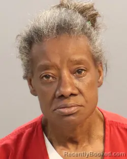 Mugshot of KAREN SUE JOHNSON