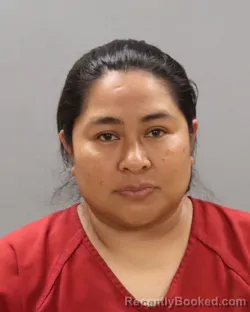 Mugshot of ZOILA CRUZ-MORALES booked in Knox County, Tennessee on April 25, 2026