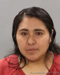 Mugshot of EPIFANIA MENDOZA-SORIANO booked in Knox County, Tennessee on April 25, 2026