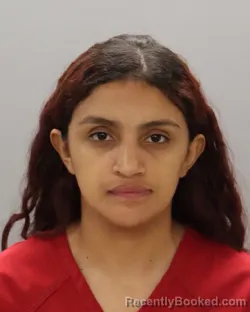 Mugshot of KATHERINE MICHELLE OCAMPO-FIGUEROA booked in Knox County, Tennessee on May 7, 2026