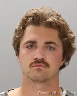 Mugshot of Connor Wayne Lewis