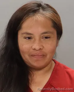 Mugshot of AGUEDA JARA-HERNANDEZ booked in Knox County, Tennessee on June 16, 2026