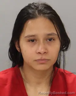 Mugshot of ANGELI PINEDA-DIAZ booked in Knox County, Tennessee on June 16, 2026