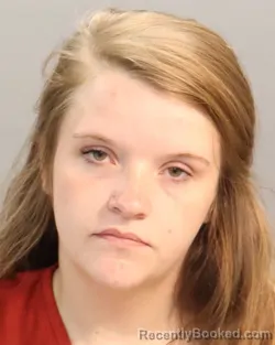 Mugshot of AUTUMN BORING booked in Knox County, Tennessee on June 25, 2026