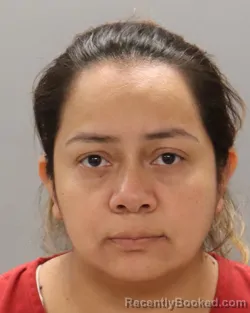 Mugshot of LOURDES VALLE-JARQUIN booked in Knox County, Tennessee on June 25, 2026