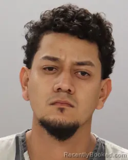 Mugshot of LESTER DIAZ booked in Knox County, Tennessee on June 29, 2026