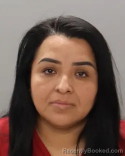 Mugshot of BLANCA SALINAS HERNANDEZ booked in Knox County, Tennessee on June 30, 2026