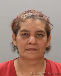 Mugshot of MERCEDES HERNANDEZ booked in Knox County, Tennessee on June 29, 2026