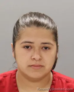 Mugshot of KIMBERLY IRIARTE booked in Knox County, Tennessee on July 1, 2026