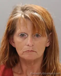 Mugshot of SHANNON LEE SHEARS booked in Knox County, Tennessee on July 2, 2026