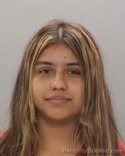Mugshot of MARY ENAYDA TURCIOS-AMAYA booked in Knox County, Tennessee on July 9, 2026