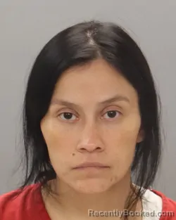Mugshot of ROSA ANDRADE-LIMON booked in Knox County, Tennessee on July 10, 2026