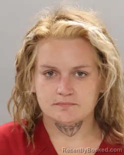 Mugshot of Meagan Amber Douglas booked in Knox County, Tennessee on September 8, 2026