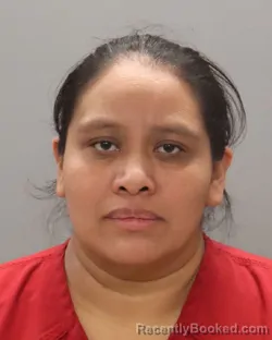 Mugshot of MAGDALENA MIGUEL-JUAN booked in Knox County, Tennessee on July 14, 2026